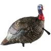 Avian-X Turkey Decoy LCD Jake Quarter Strut AVX8003