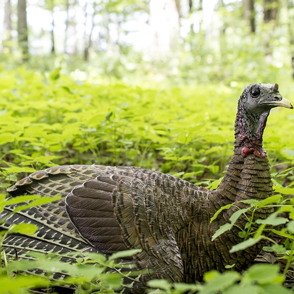 Avian-X Turkey Decoy LCD Laydown Hen AVX8011 - Image 3