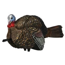 Avian-X Turkey Decoy LCD Half Strut Jake AVX8012
