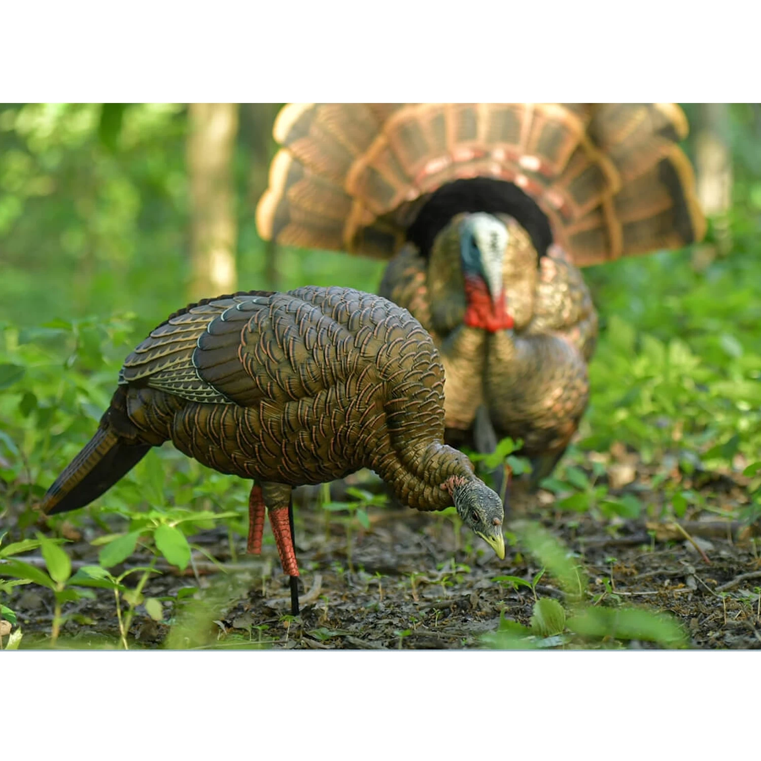 Avian-X Turkey Decoy HDR Hen Feeding AVX8107 - Image 2