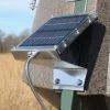 Boss Buck Non-Typical Solar Panel 12 Volt BB-79.12