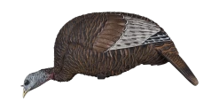 Flextone Thunder Chick Feeder Turkey Decoy FLXDY314