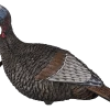 Flextone Thunder Jake Turkey Decoy FLXDY317