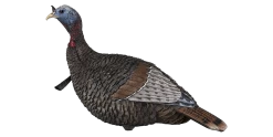 Flextone Thunder Jake Turkey Decoy FLXDY317