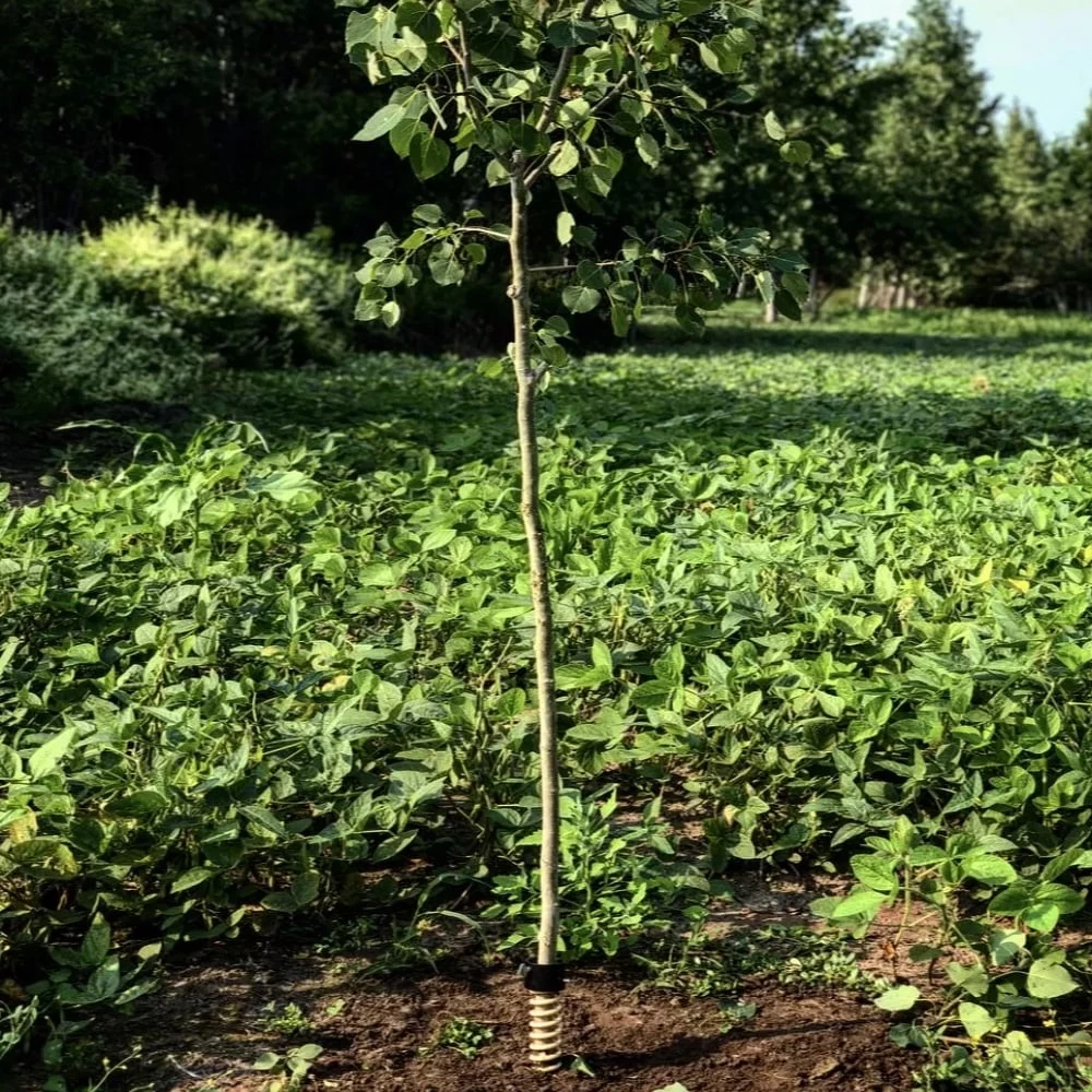 Hodag Licking Stick System FlexPlate W/ All Season Scent - Image 3