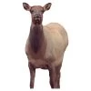 Montana Decoy Company Eichler Cow Elk