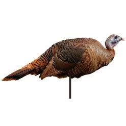 Montana Decoy Company Turkey Spring Fling Hen 2d Decoy