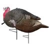 Primos Decoys Turkey Gobbstopper Jake & Hen Decoy Combo 69064